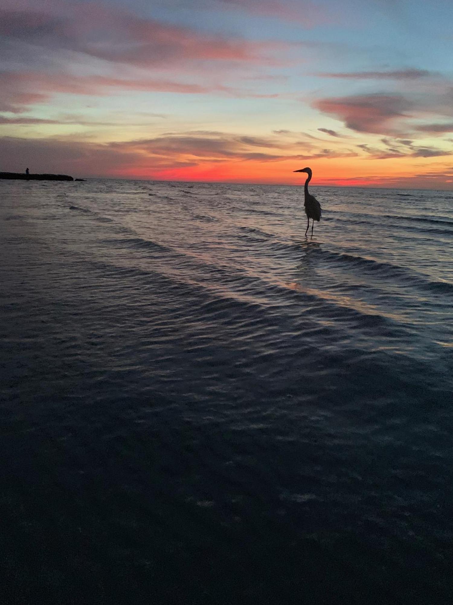 Bed and Breakfast Casa Noma-Noma Holbox Екстер'єр фото